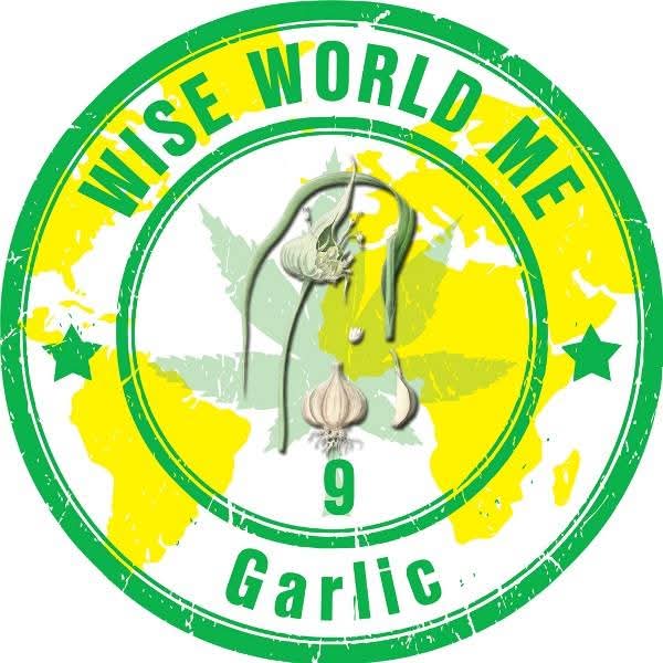 Wise World Garlic — vrednost 9