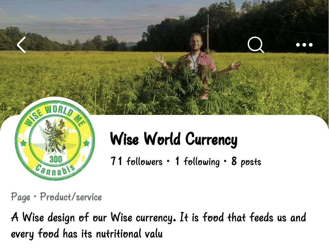 Wise World Currency · Facebook stran