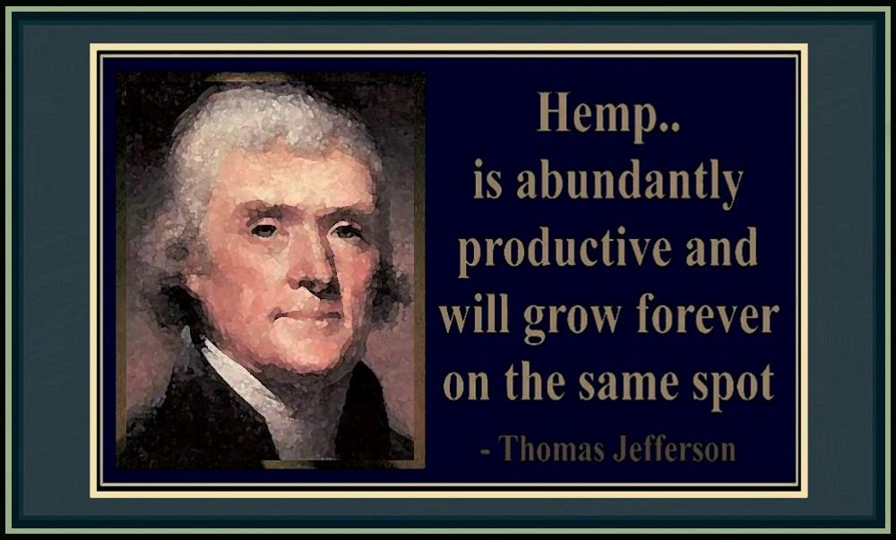»Hemp is abundantly productive and will grow forever on the same spot.« — Thomas Jefferson